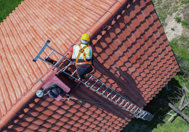 Best Solar Panel Roofing Installation  in Brentwood, MO