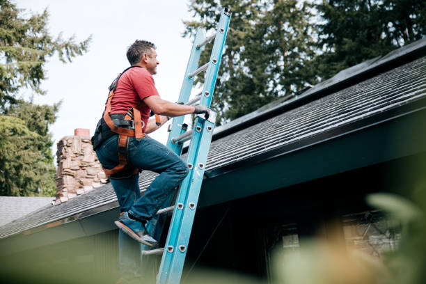 Best Roof Ventilation Installation  in Brentwood, MO