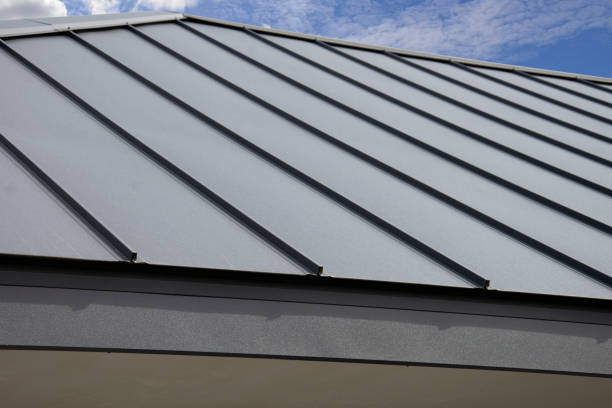Best Roof Moss and Algae Removal  in Brentwood, MO